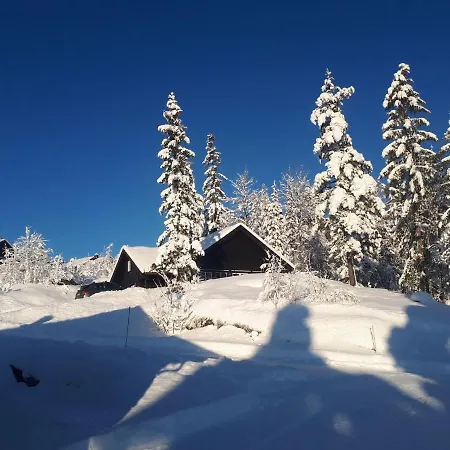 Gautefall Holiday home Treungen