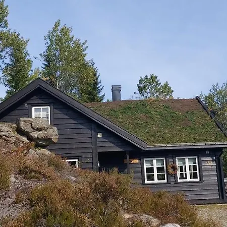 Gautefall Holiday home Treungen